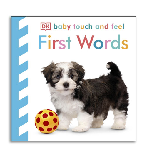 Baby Touch and Feel: First Words