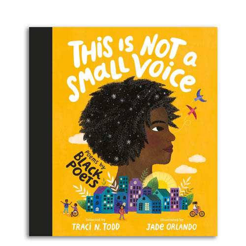 This Is Not A Small Voice : Poems by Black Poets