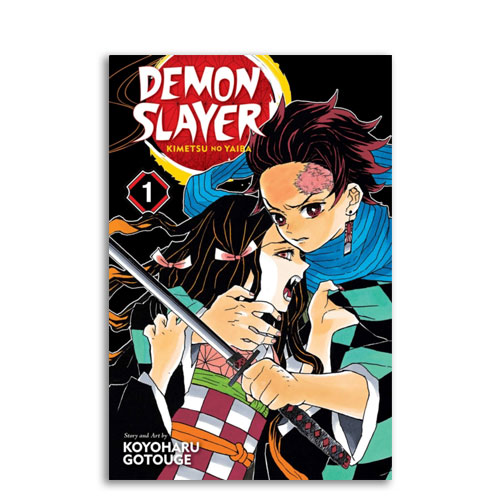 Demon Slayer: Kimetsu no Yaiba, Vol. 01
