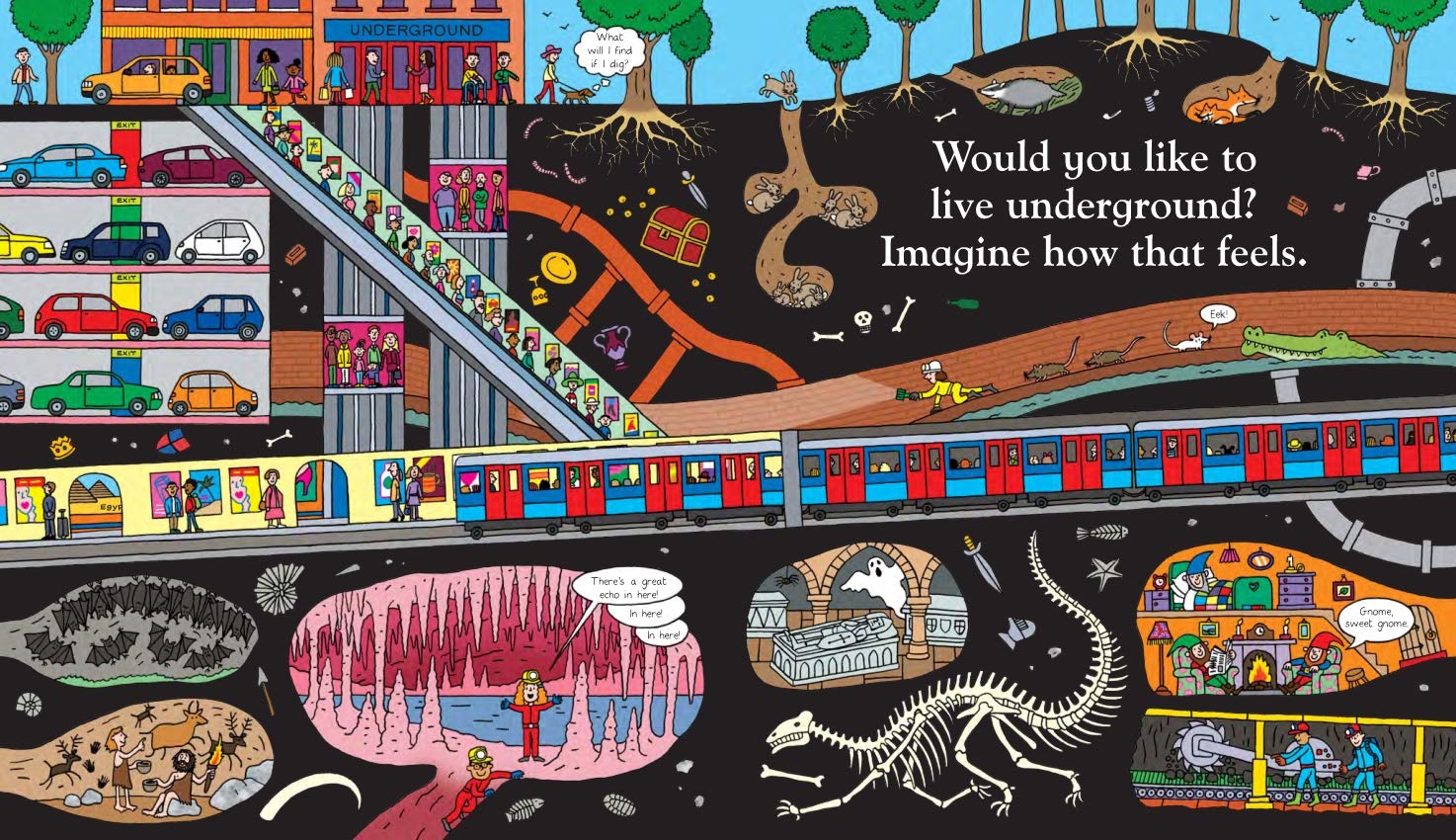 You choose your dreams owlbooks dk