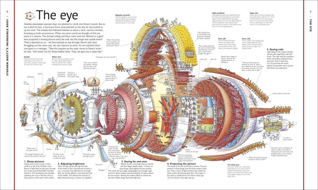 Stephen Biesty’s Incredible Body CrossSections Owlbooks.dk